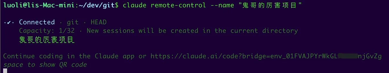 终端启动 Remote Control
